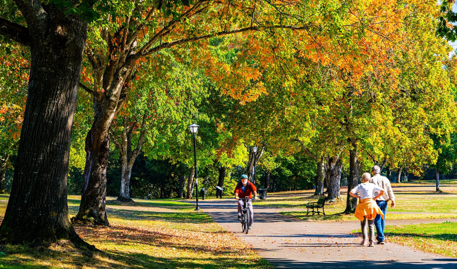Close to the center of everything people riding bikes in a park and walking