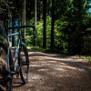 bicycle on bike trail in the woods