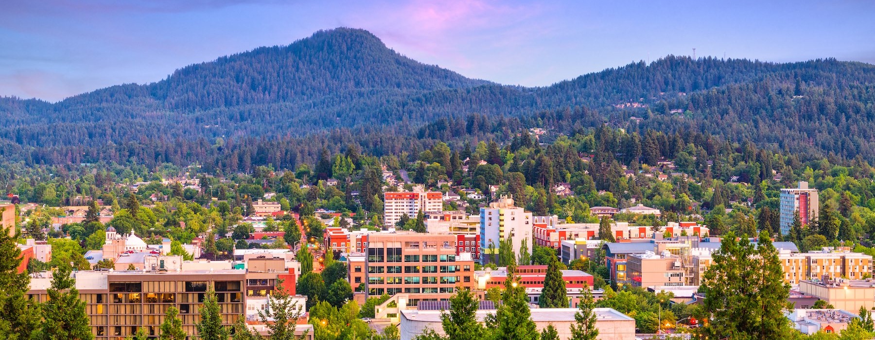 View of a town within trees and mountains in the background